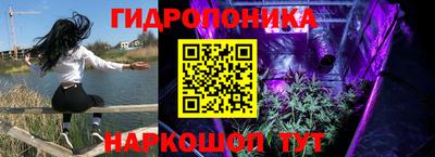 стафф Комсомольск-на-Амуре