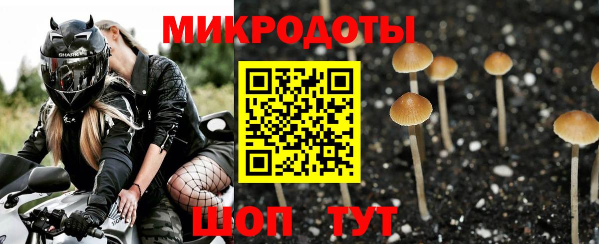 Псилоцибиновые грибы ЛСД  Вход с VPN  Карпинск  Псилоцибиновые грибы ЛСД 